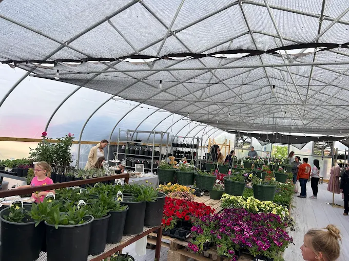 Hanging Baskets & Seasonal Color